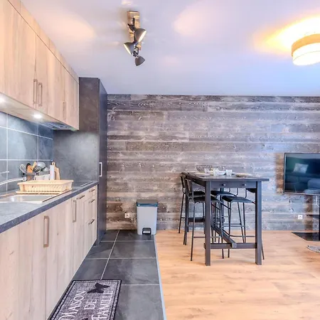 Studio-cabine Renove En Centre, 200m Des Pistes, Pour 4 Personnes - - Fr-1-754-49 Apartment *